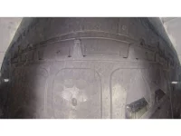 Volkswagen THE BEETLE лот № 38051 оценка 4  с аукциона в Японии 10