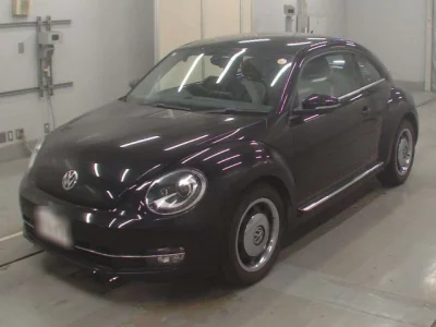 Volkswagen THE BEETLE