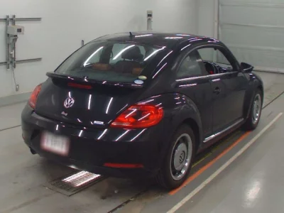 Volkswagen THE BEETLE