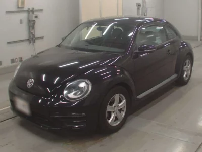 Volkswagen THE BEETLE