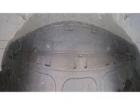 Volkswagen THE BEETLE лот № 38183 оценка 3.5  с аукциона в Японии 10