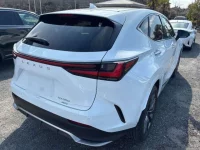 Lexus NX лот № 50028 оценка 5  с аукциона в Японии 1