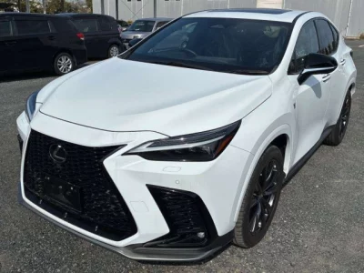 Lexus NX  с аукциона в Японии