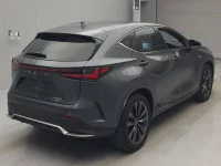 Lexus NX лот № 10008 оценка 5  с аукциона в Японии 1