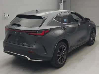 Lexus NX  с аукциона в Японии