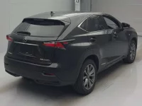 Lexus NX лот № 10010 оценка 3.5  с аукциона в Японии 1