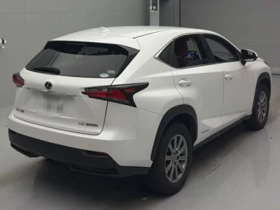 Lexus NX  с аукциона в Японии