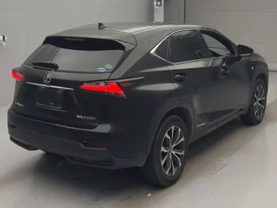 Lexus NX  с аукциона в Японии