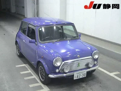 Rover MINI