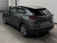 Mazda CX-30 лот № 20142 оценка 4  с аукциона в Японии 1