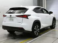 Lexus NX лот № 30365 оценка 4.5  с аукциона в Японии 1