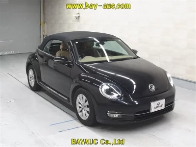 Volkswagen THE BEETLE