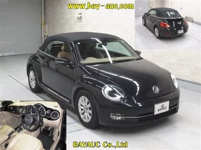 Volkswagen THE BEETLE