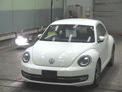 Volkswagen THE BEETLE
