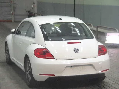 Volkswagen THE BEETLE