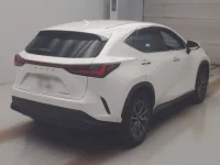 Lexus NX лот № 10001 оценка 3.5  с аукциона в Японии 1