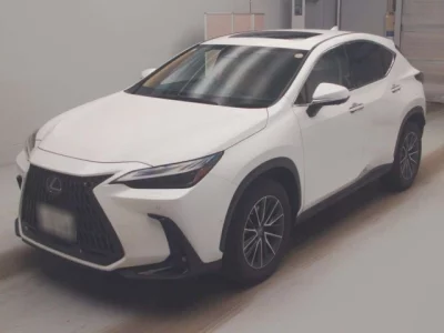 Lexus NX  с аукциона в Японии