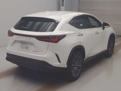 Lexus NX  с аукциона в Японии