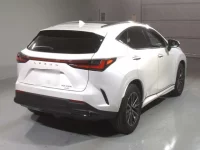Lexus NX лот № 8003 оценка 5  с аукциона в Японии 1
