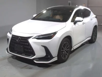 Lexus NX  с аукциона в Японии