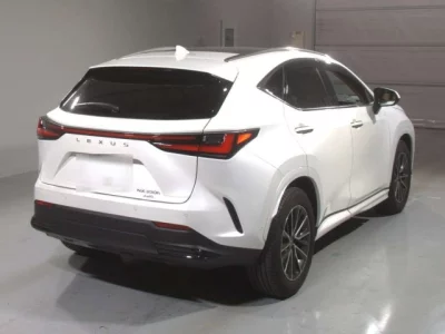 Lexus NX  с аукциона в Японии