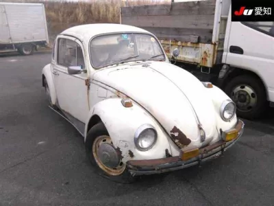 Volkswagen BEETLE