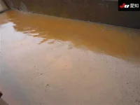 Hino PROFIA лот № 8678 оценка R  с аукциона в Японии 7