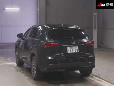 Lexus NX  с аукциона в Японии