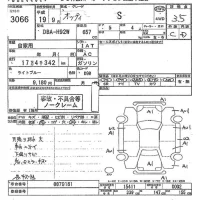 Nissan OTTI лот № 3066 оценка 3.5  с аукциона в Японии 10