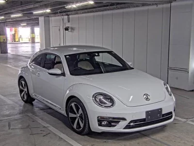 Volkswagen THE BEETLE