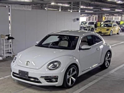 Volkswagen THE BEETLE