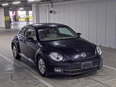 Volkswagen THE BEETLE