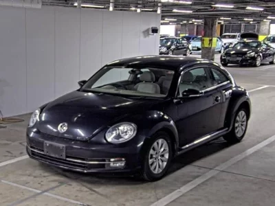 Volkswagen THE BEETLE