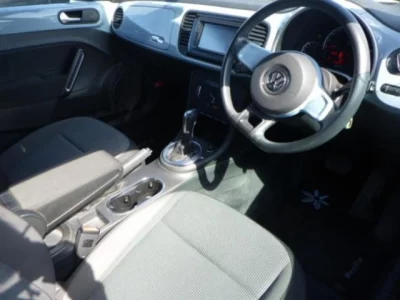 Volkswagen THE BEETLE