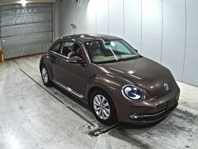 Volkswagen THE BEETLE