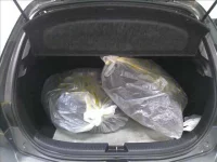 Mazda AXELA лот № 744 оценка 3.5  с аукциона в Японии 6