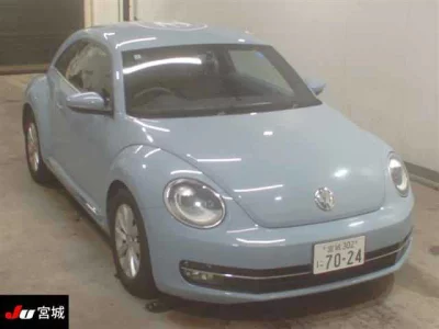 Volkswagen THE BEETLE