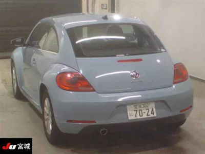 Volkswagen THE BEETLE