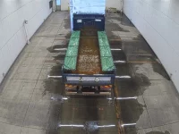 Isuzu GIGA лот № 4305 оценка 3  с аукциона в Японии 2