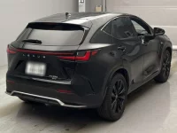 Lexus NX лот № 10009 оценка 3.5  с аукциона в Японии 1