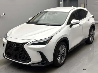 Lexus NX  с аукциона в Японии
