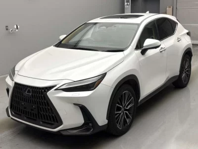 Lexus NX  с аукциона в Японии