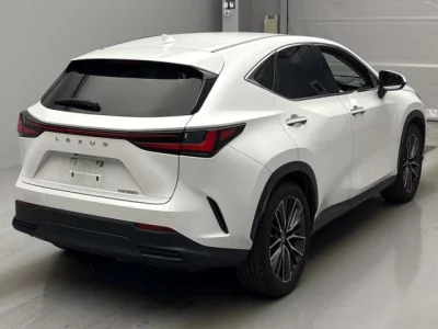 Lexus NX  с аукциона в Японии