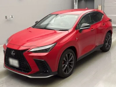 Lexus NX  с аукциона в Японии