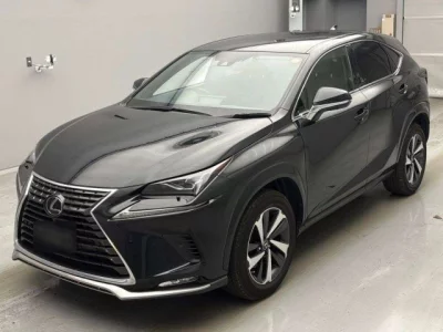 Lexus NX  с аукциона в Японии