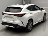 Lexus NX лот № 10061 оценка RA  с аукциона в Японии 1