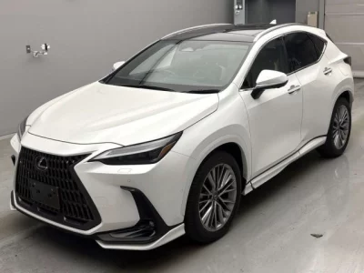 Lexus NX  с аукциона в Японии