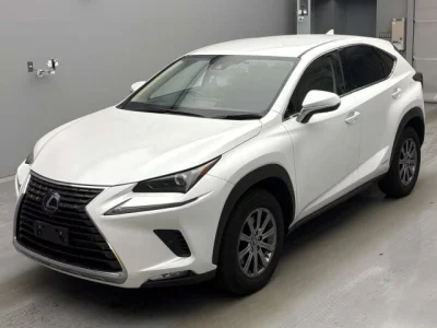 Lexus NX  с аукциона в Японии