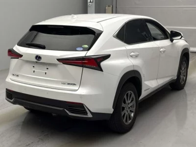 Lexus NX  с аукциона в Японии