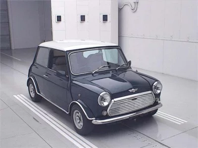 Rover MINI